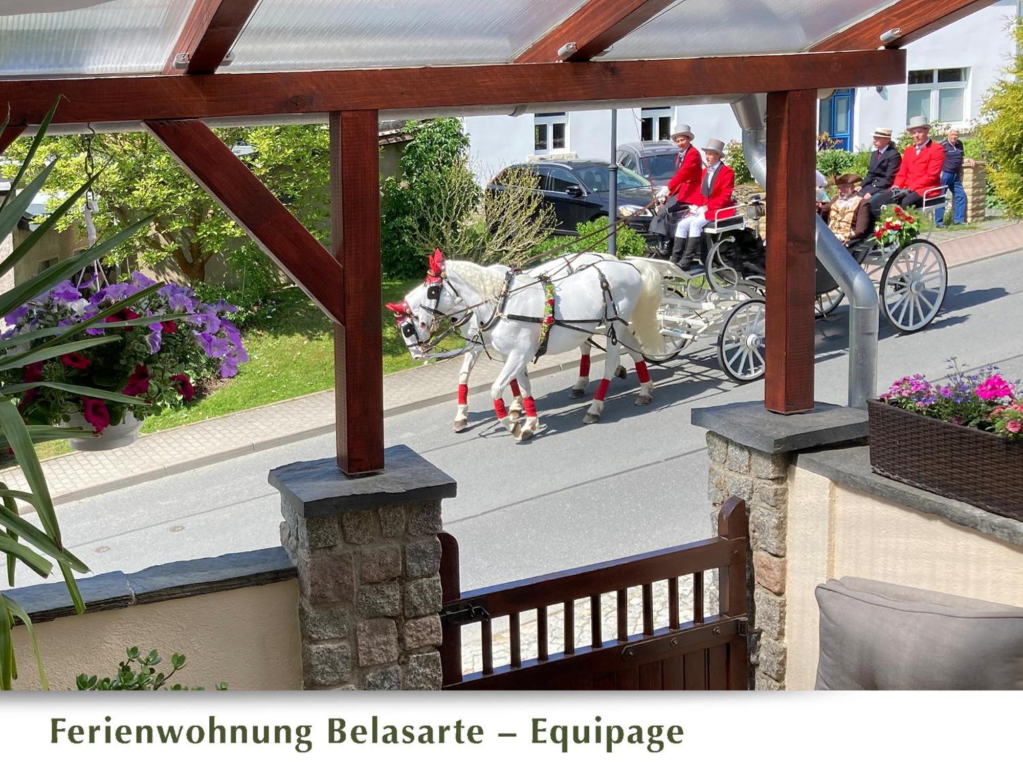 Ferienwohnung Belasarte Bad Elster Eksteriør billede